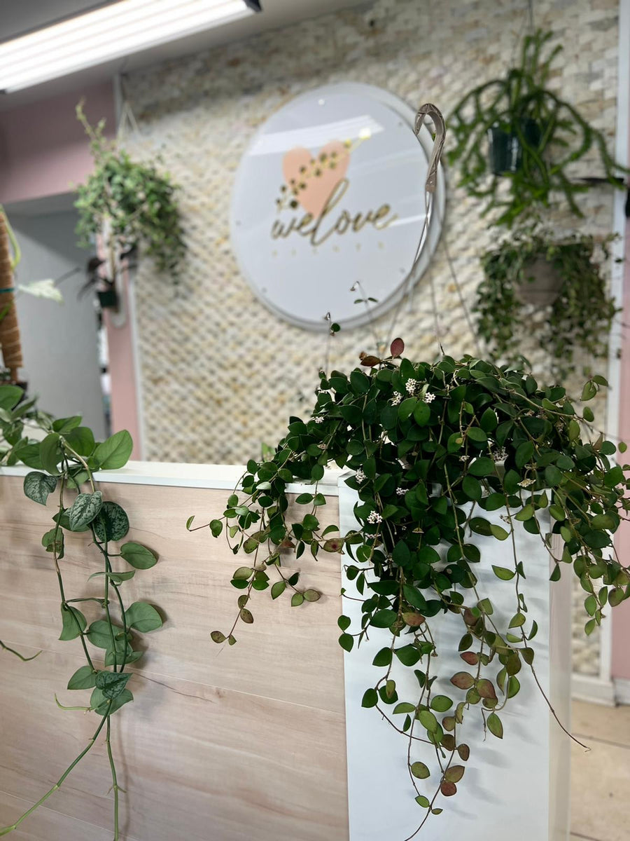 Accessories – We Love Plants LLC