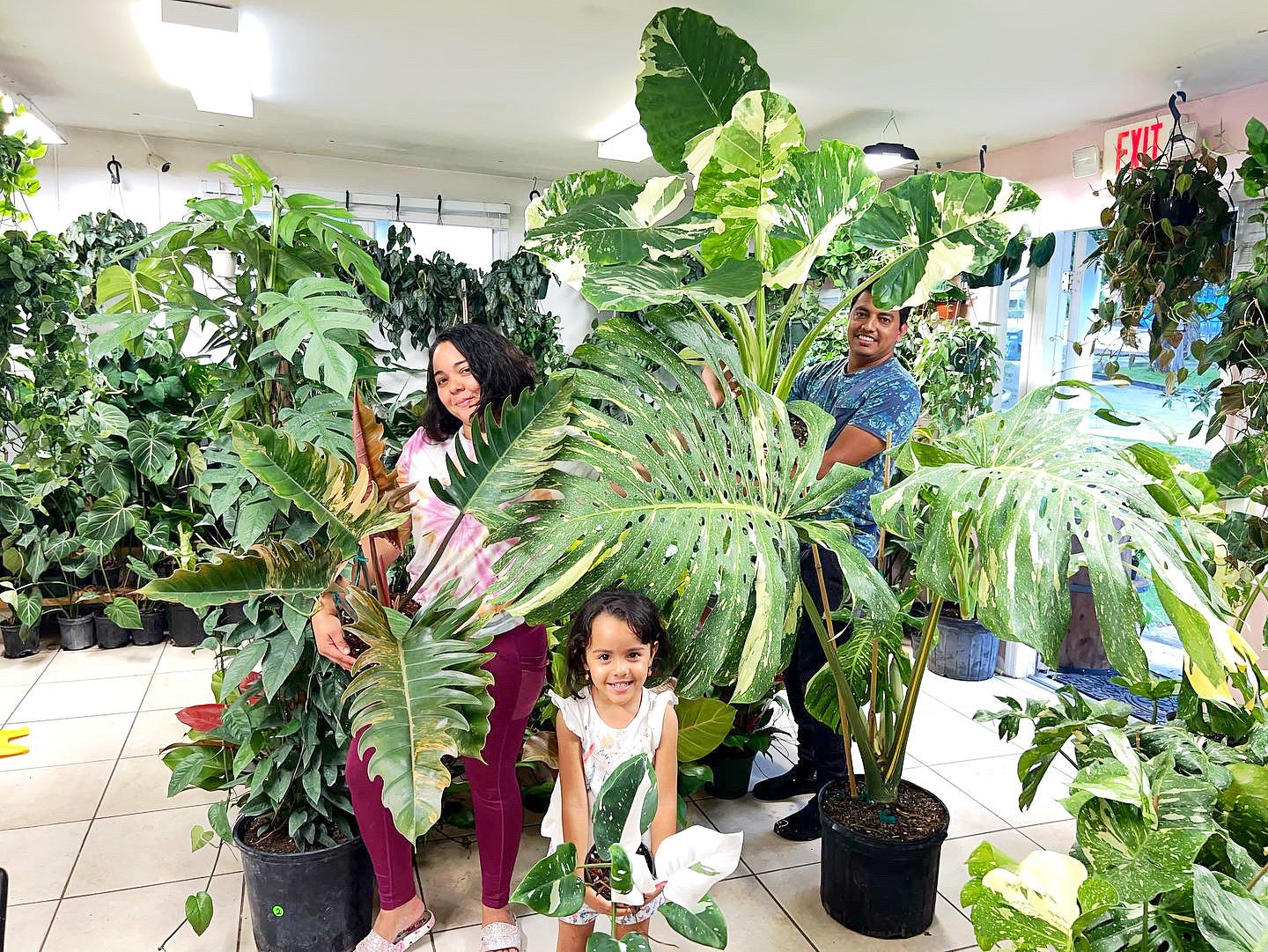 Rare Plant shop – We Love Plants LLC